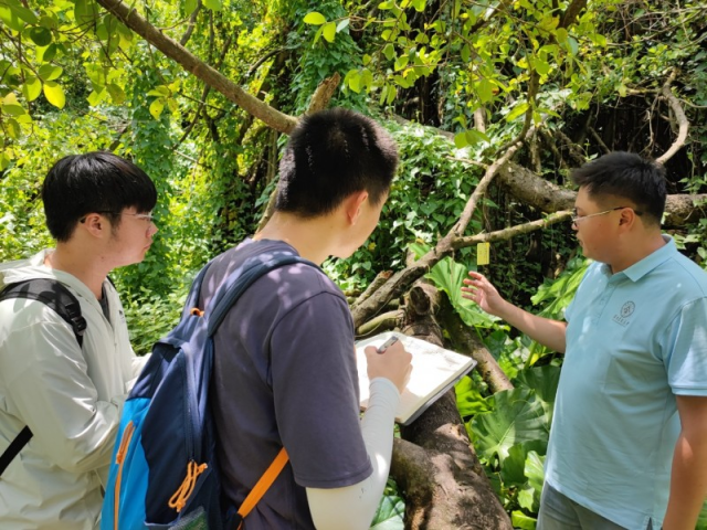 通讯员 蒙丽 供图