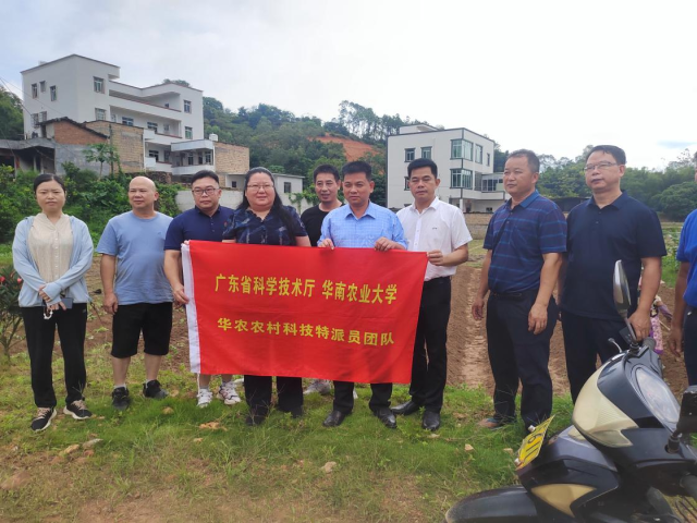 通讯员 蒙丽 供图