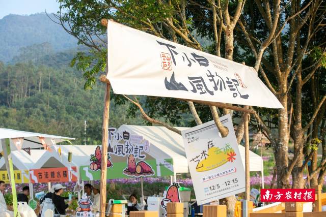 以番薯为媒，云城区打造乡村旅游嘉年华。