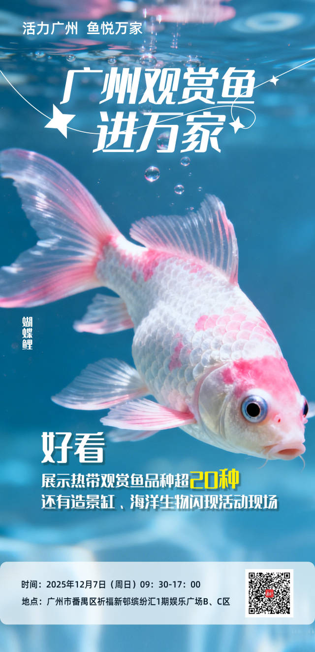 活力广州，鱼悦万家丨广州观赏鱼进万家走进番禺区祈福新邨