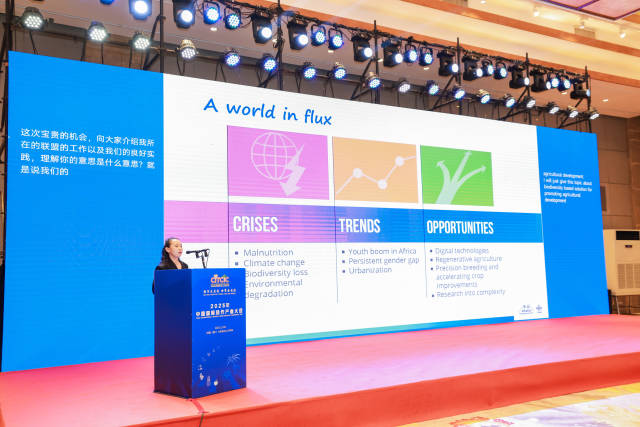 国际生物多样性中心和国际热带农业中心联盟驻华代表Keyu Bai。