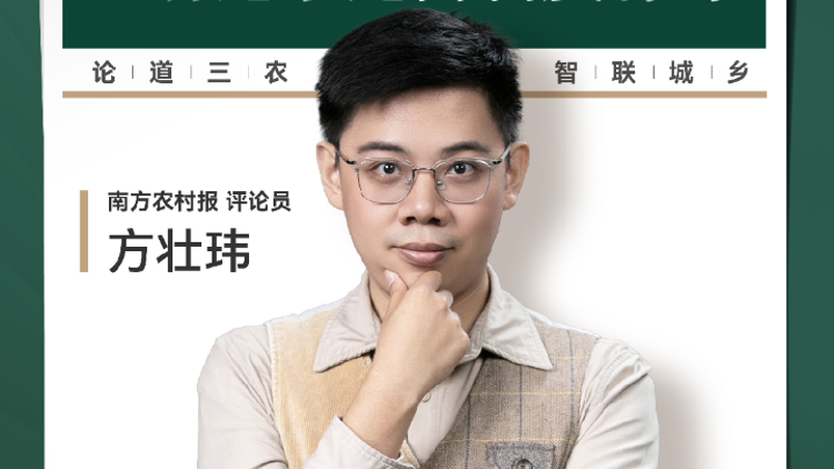 兴农评丨村支书垫钱买保险，感动之余还需制度“补课”
