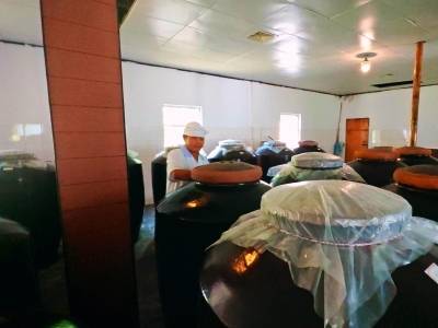 创客父女用科技“酿”就广东糯米酒的新生 | 乡村创客东源秀⑨