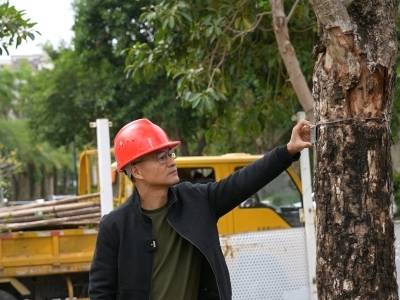 话绿美｜绿美生态工匠：匠心技术守护珠海绿色家园