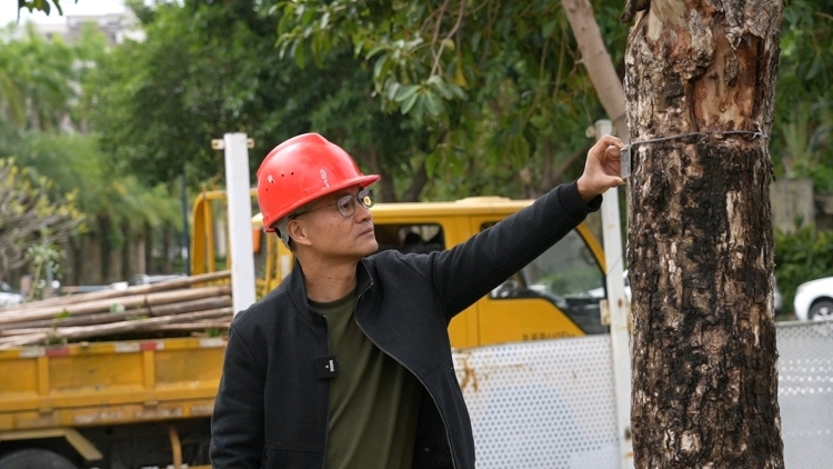 话绿美｜绿美生态工匠：匠心技术守护珠海绿色家园