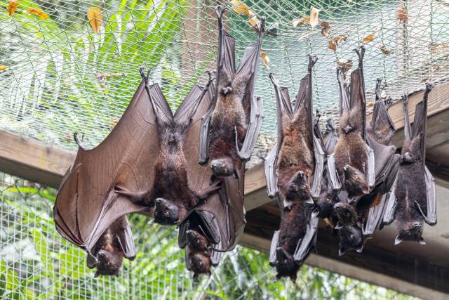    南方+ 王俊涛 拍摄