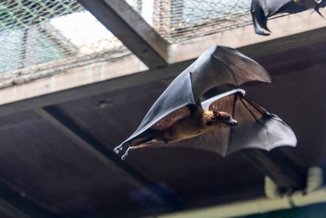    南方+ 王俊涛 拍摄