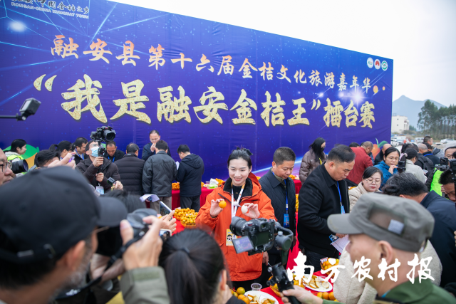 “我是融安金桔王”擂台赛比赛现场。