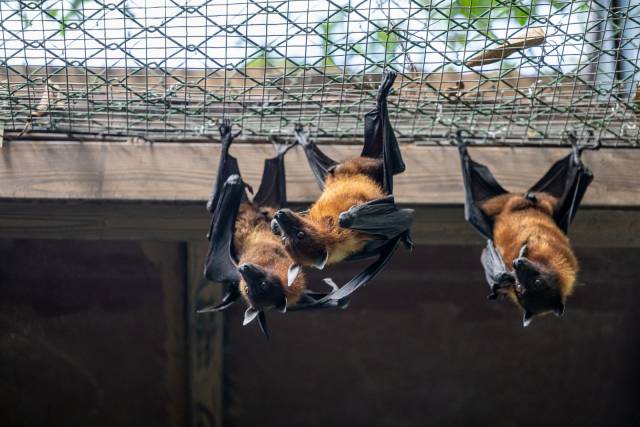    南方+ 王俊涛 拍摄