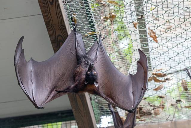    南方+ 王俊涛 拍摄