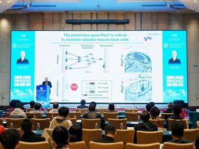 专家：干细胞治疗走向有序发展的“黄金阶段”