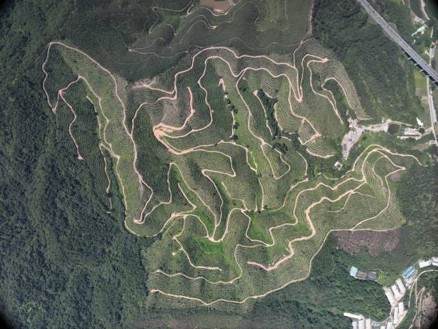 云浮市新兴县簕竹镇大斑块人工造林