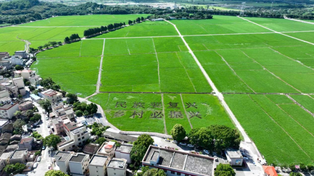 崖口村拥有两千亩稻田和8.5公里长的海岸线。（张鉴来 摄）