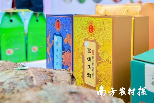 南方农村报 王富迪 拍摄