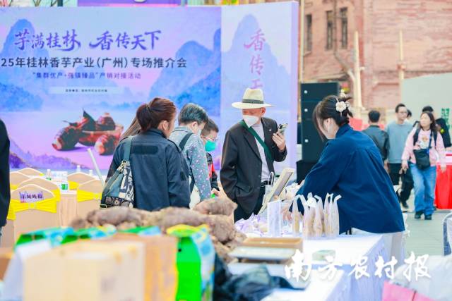 南方农村报 王富迪 拍摄