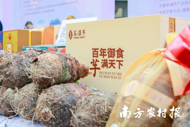 南方农村报 王富迪 拍摄