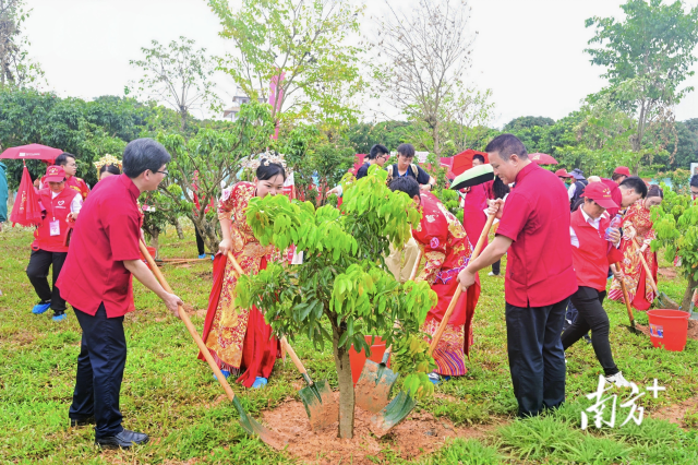 茂名市根子镇“有好事 种棵树”同心林植树活动。