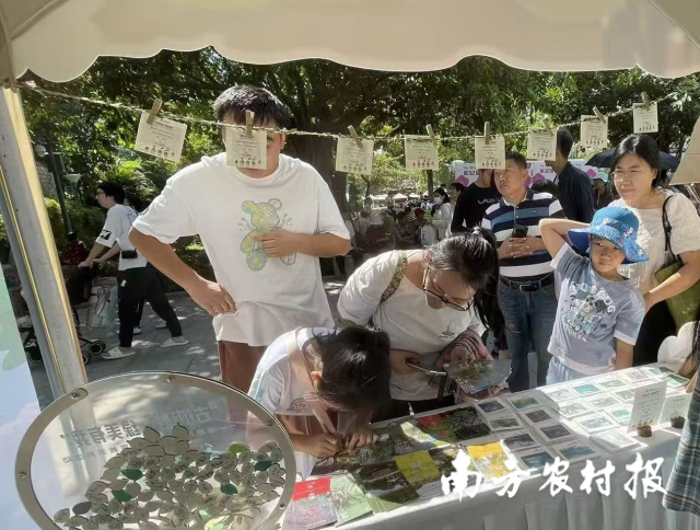 2025年广东省森林文化周古树认捐点