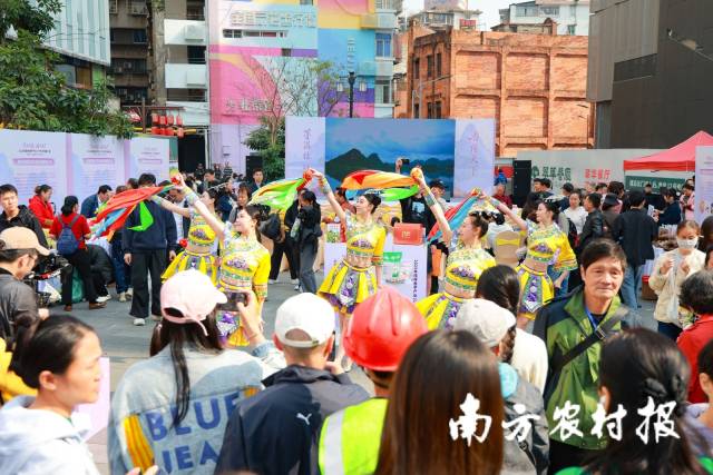 南方农村报 王富迪 拍摄