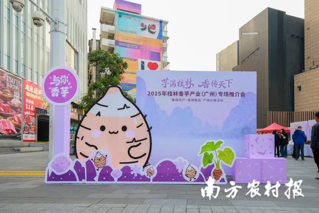 多图｜“芋” 众不同！桂林香芋集群臻品亮相广州