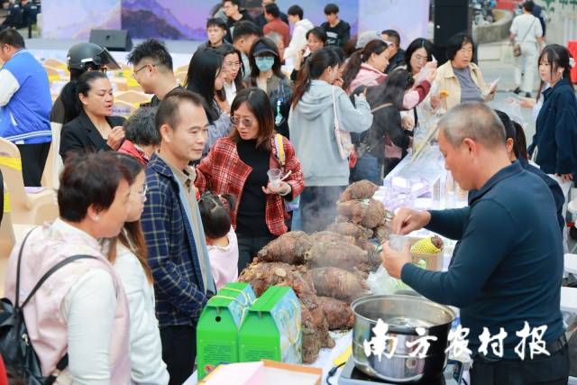 南方农村报 王富迪 拍摄