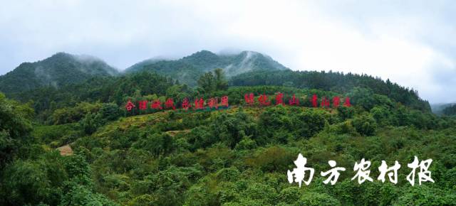 广东怀集三岳省级自然保护区