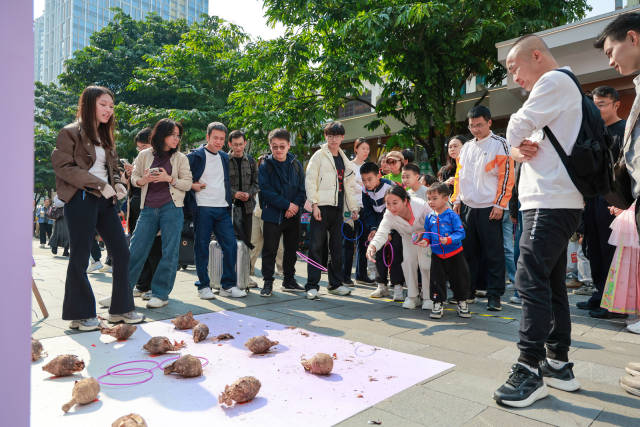 南方农村报 王富迪 拍摄