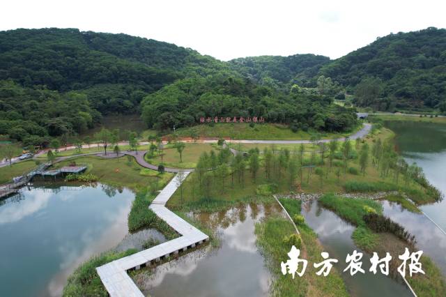 广州市黄埔区迳下绿美点