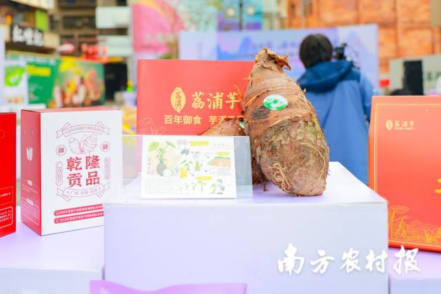 南方农村报 王富迪 拍摄