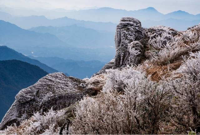 文化中国行·大雪 | 南国冬藏正当时，腊香柑甜暖意浓