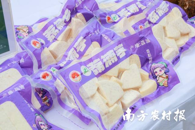 南方农村报 王富迪 拍摄