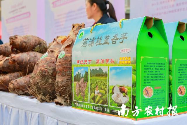 南方农村报 王富迪 拍摄