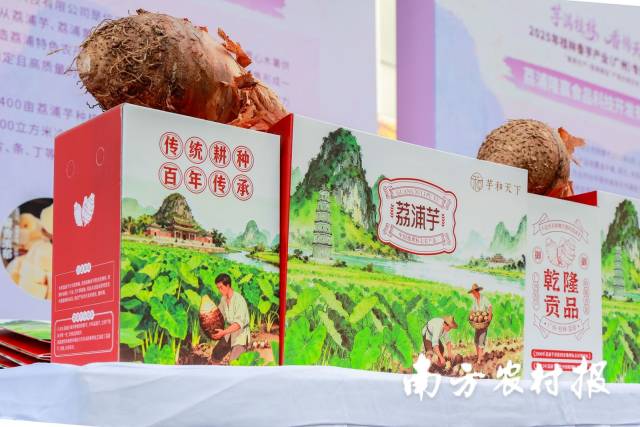 南方农村报 王富迪 拍摄