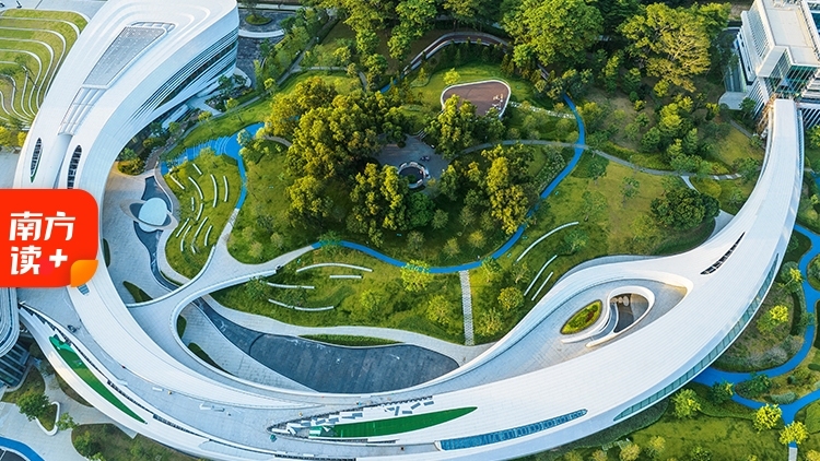 大湾区大学，“大”在哪里？