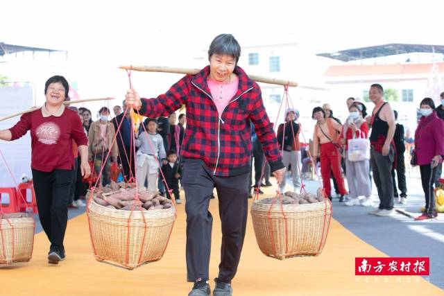 担运番薯比赛欢乐进行。