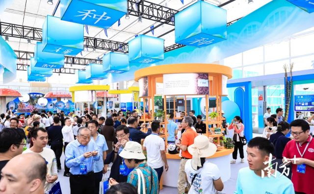 种业振兴成果展前人来人往，展品吸睛。