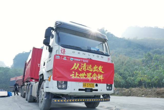 清远农投集团旗下清远农投笋业有限公司出品的西牛麻竹笋产品正式开启跨国之旅。