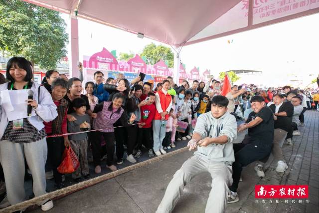 精彩刺激的拔河比赛现场。