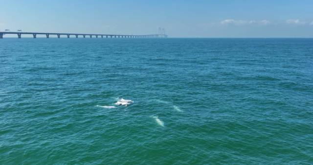 南方农村报 王富迪 拍摄