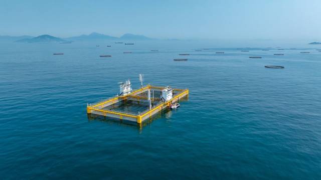 南方农村报 王富迪 拍摄