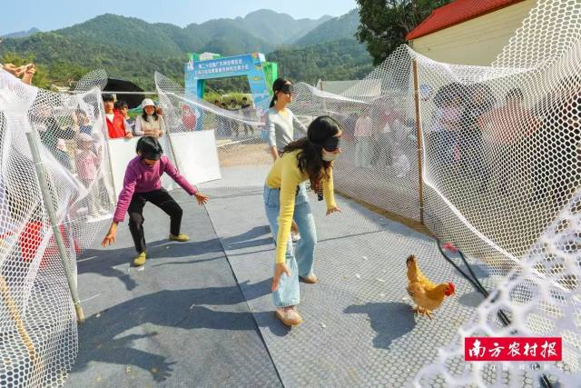 蒙眼捉鸡现场趣味十足。