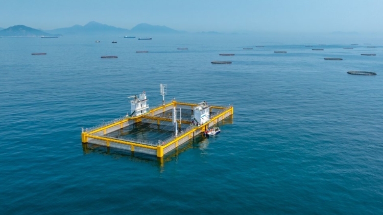 珠海市委书记：建设海岛镇，激活“海”文章丨市委书记抓乡村振兴2025年度盘点