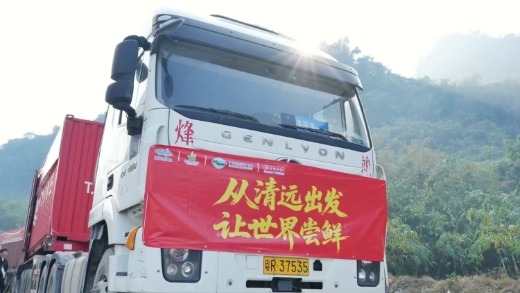 “媒体+”赋能西牛麻竹笋：“粤味珍品”清远好食材的百亿跨越