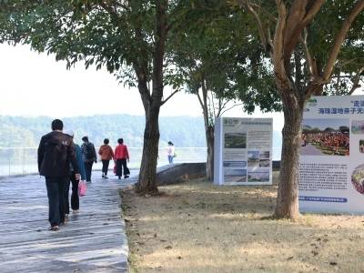 当湿地开始进化，能为广州带来什么？