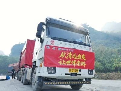 更有底气！更有信心！广东省政府工作报告首提“媒体+”，引发农业产业一线代表及干群强烈共鸣丨2026广东两会