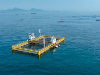 珠海市委书记：建设海岛镇，激活“海”文章丨市委书记抓乡村振兴2025年度盘点