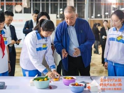 乡村振兴路上的平安人：以金融之力服务广东“百千万工程”