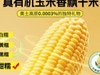 聚焦大湾区农交会 | 五寨县乡村e镇重磅亮相，12.12-14就在广州！