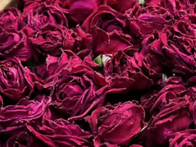 聚焦大湾区农交会 | 云南省展团携农产好物亮相大湾区农交会，等您到来！