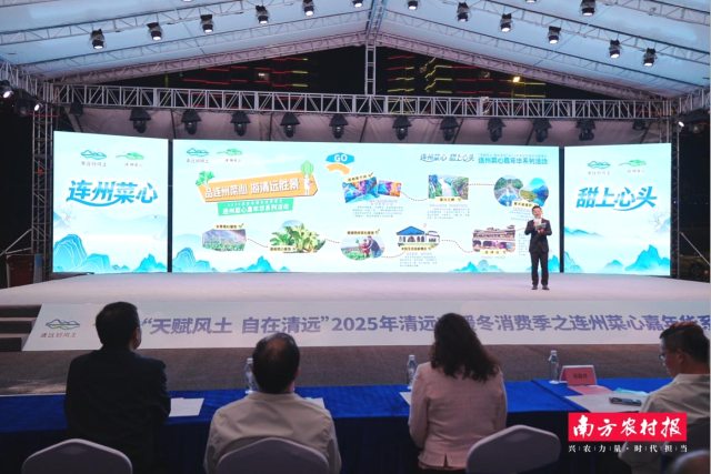 “吃连州菜心  游清远胜景”主题路线推介。